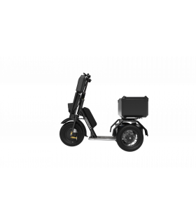 COBRANE T1 - TOP CASE